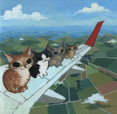 Коты на крыле самолёта