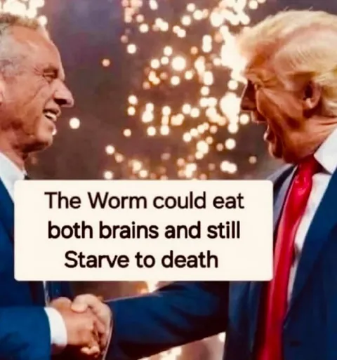 The Worm Eats Both Brains