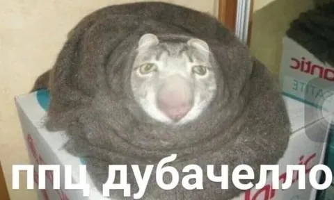 ППЦ, дубачелло
