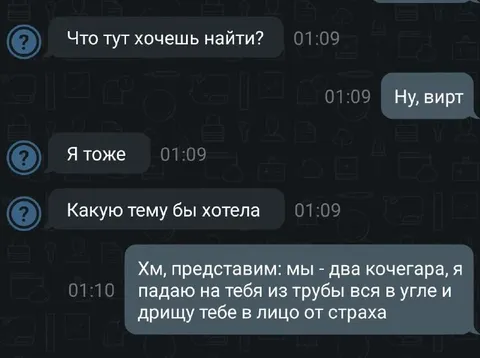 Вирт про двух ко||||гачаров