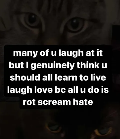 Learn to Live Laugh Love