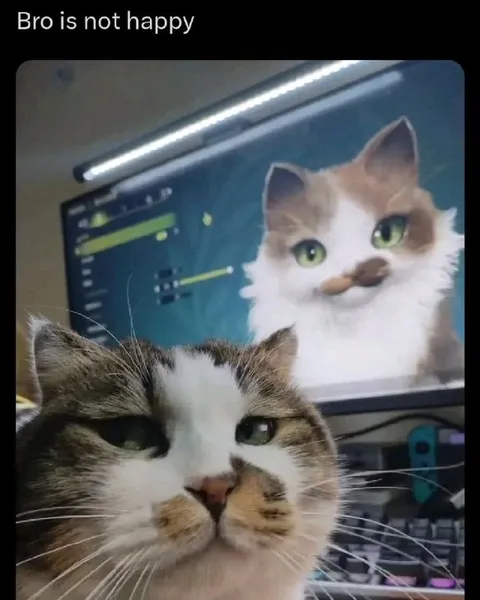Bro Is Not Happy