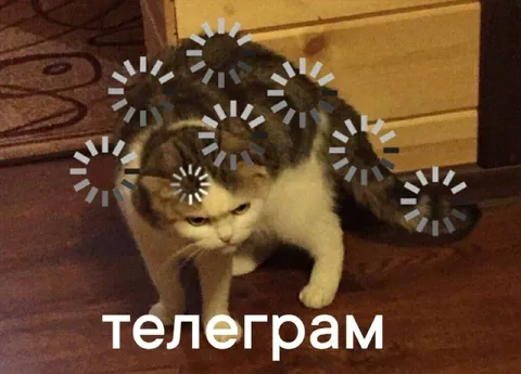 Кот завис в Телеграме