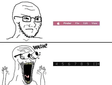 Wojak Discovers the Terminal
