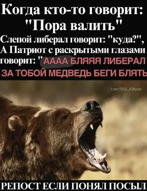 Либерал и медведь за спиной