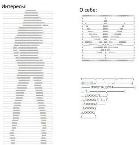 Анкета с ASCII-артом