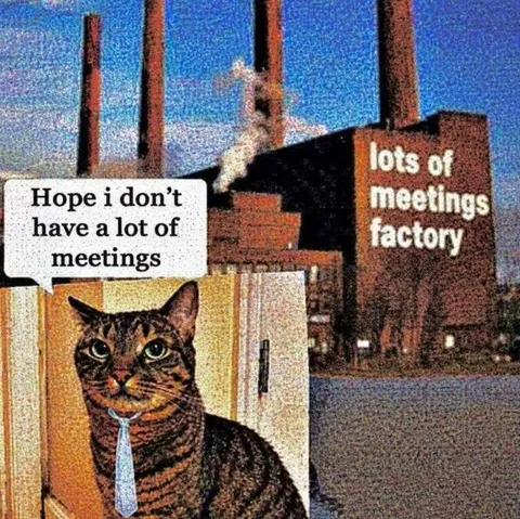 Cat Hopes for Fewer Meetings