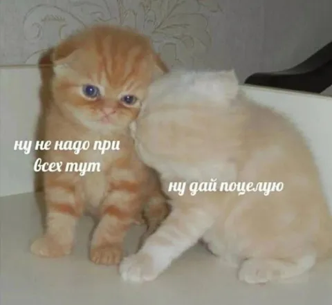 Не надо при всех