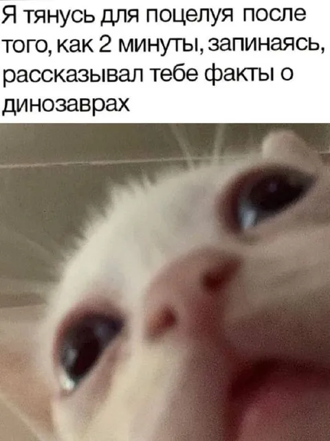 Поцелуй после фактов о динозаврах