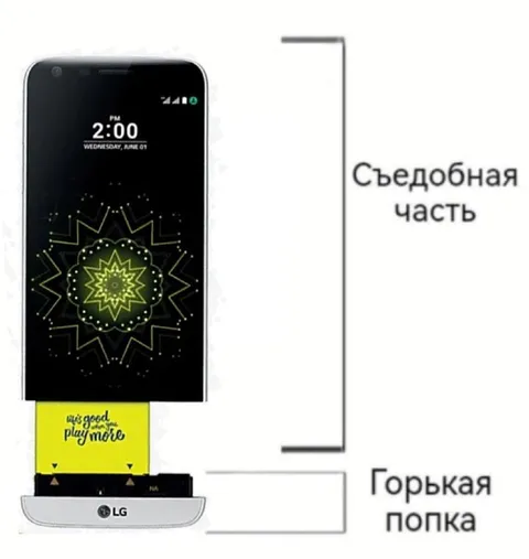 Съедобная часть горькой попки