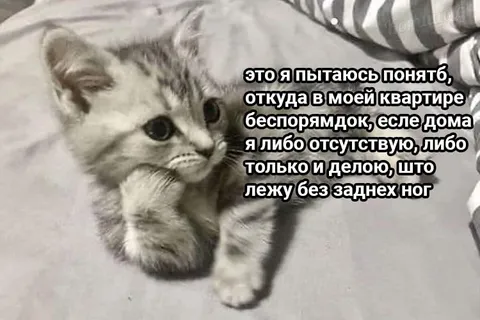 Откуда в квартире беспорядок