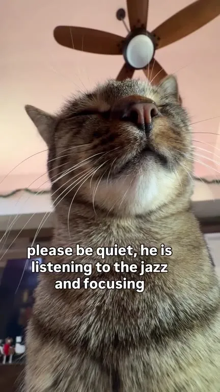Cat Listening to Jazz