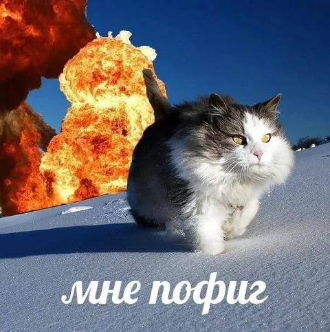 Мне пофиг