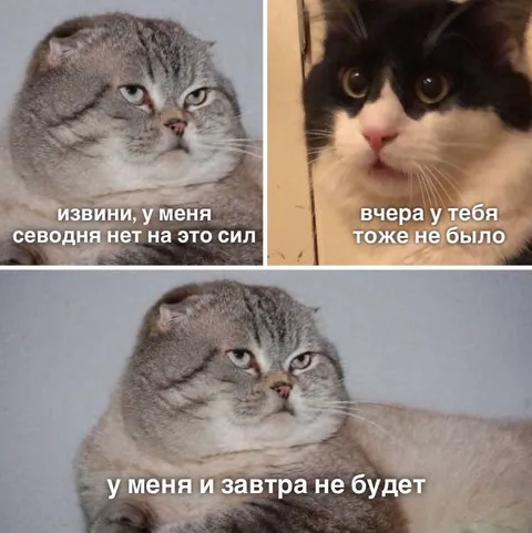 У меня и завтра не будет сил