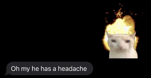 Cat Has a Headache
