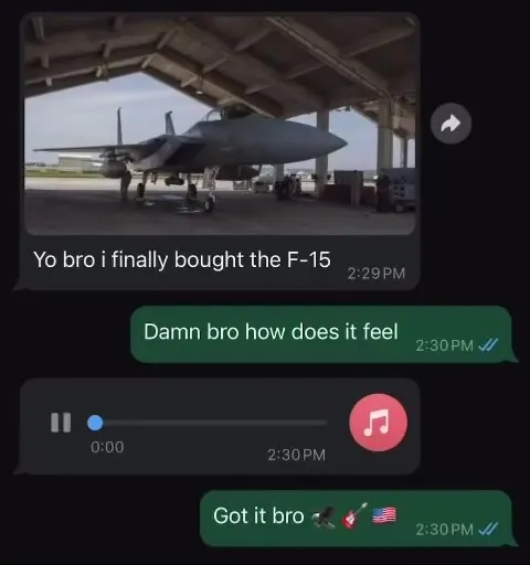 When Your Bro Buys an F-15