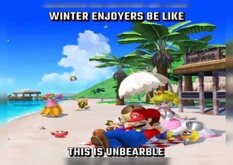 Winter Enjoyers Be Like