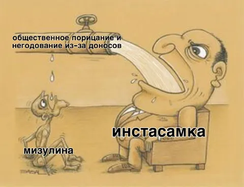 Общественное порицание Инстасамки