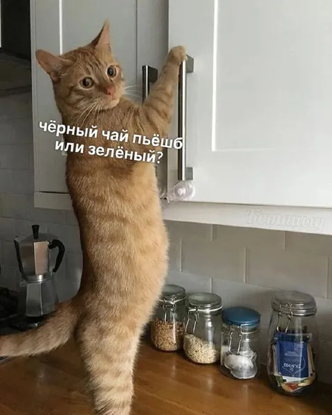 Чёрный или зелёный чай