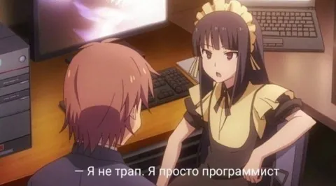 Я не трап, я программист