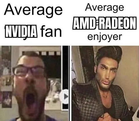 Average NVIDIA Fan vs AMD Enjoyer