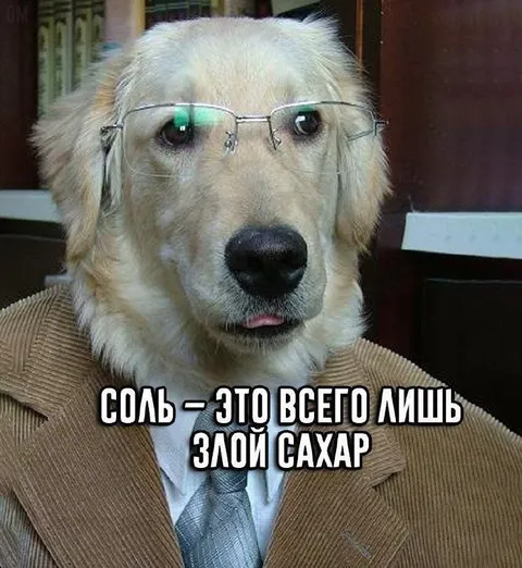 Соль — злой сахар