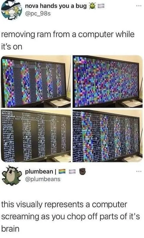 Removing RAM While Computer Is On