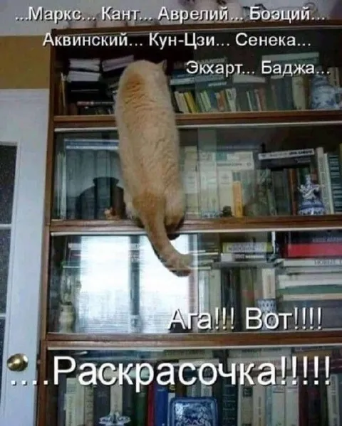 Кот ищет раскраску среди философов