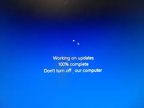 Windows Update at 100%