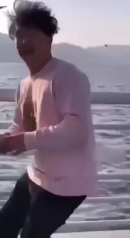 Seagull Steals the Snack