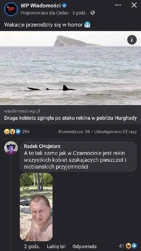 Rekin szukający pieszczot