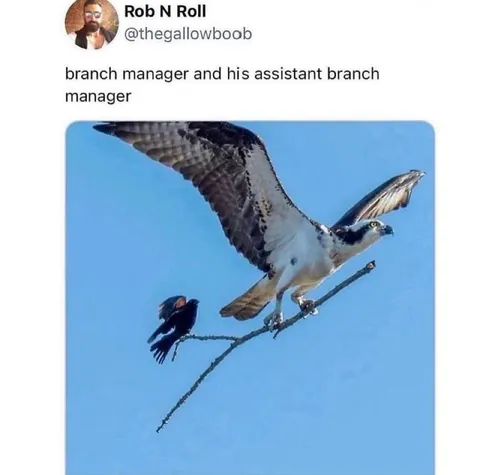 Branch Manager and Assistant
