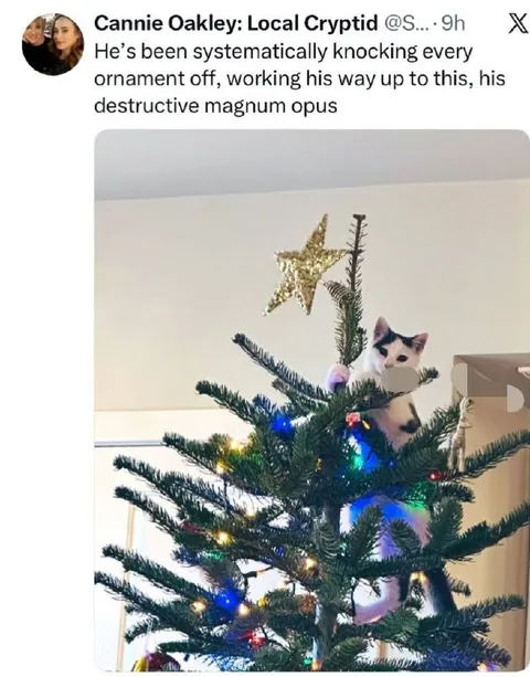 Cat’s Destructive Christmas Tree Masterpiece