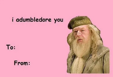I Adumbledore You