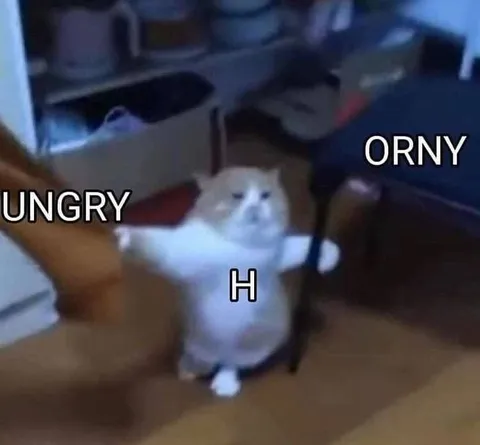 Hungry and Horny Cat