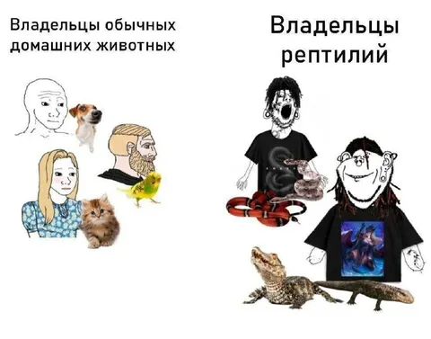 Владельцы обычных животных и рептилий