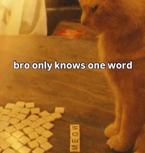 Bro Only Knows One Word