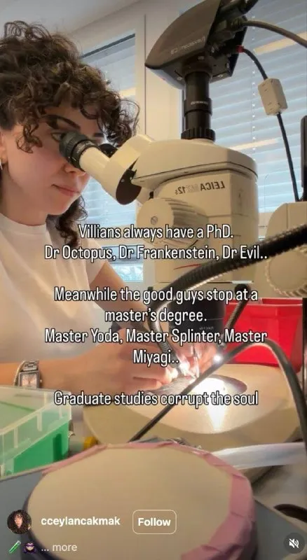 Villains Have PhDs, Heroes Have Masters