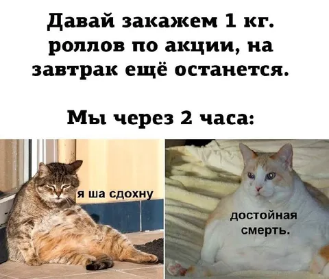 Роллы по акции через два часа