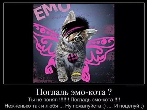 Погладь эмо-кота