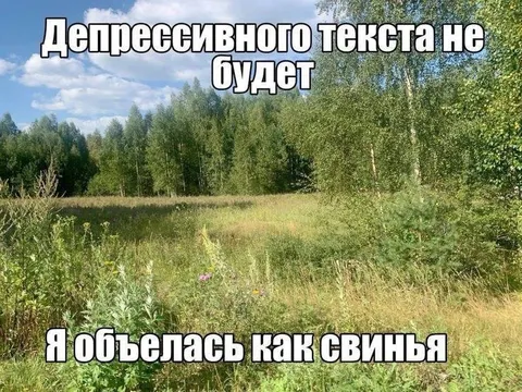 Объелась как свинья