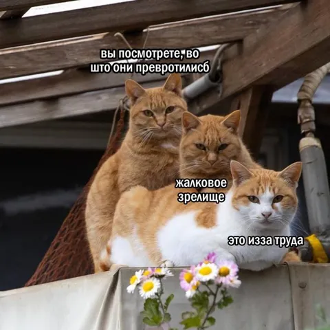 Жалкое зрелище из-за труда