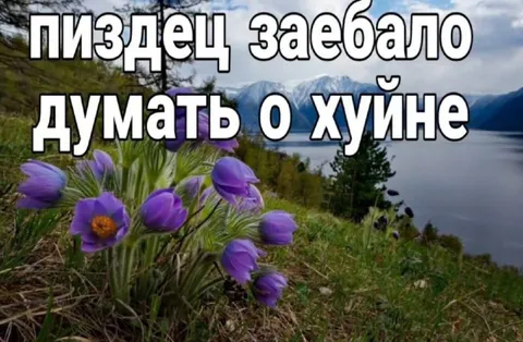 Заебало думать о хуине