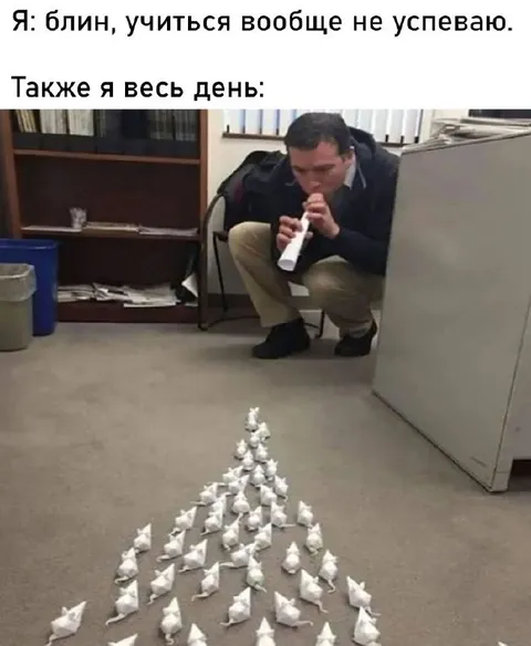 Учёба весь день