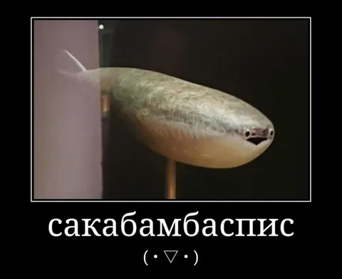Сакабамбаспис с милой мордочкой