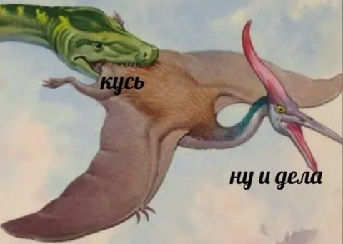 Кусь — ну и дела