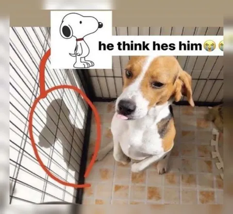 Dog Thinks He’s Snoopy