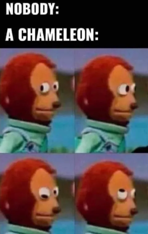 Nobody: A Chameleon