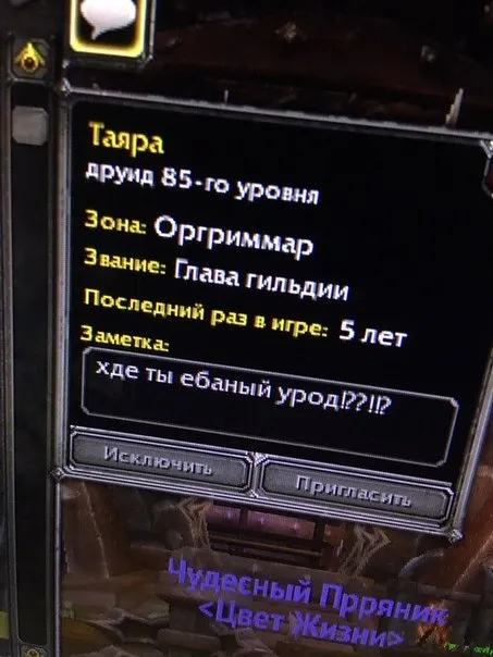 Друид ищет пропавшего согильдийца