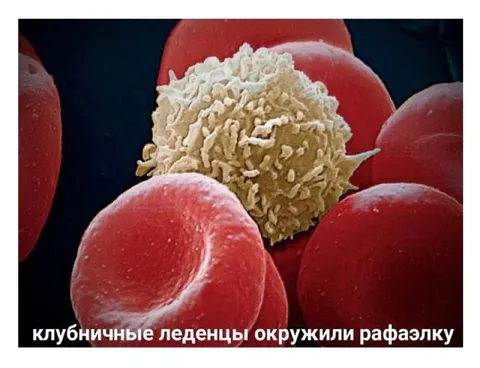 Клубничные леденцы окружили Рафаэлку